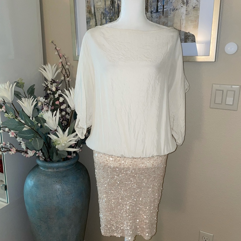 Parker beautiful and sexy silk dress